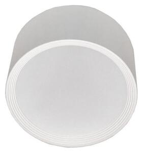 LED Stropní svítidlo PERCI LED/30W/230V IP40 4000K bílá