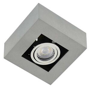 Arcchio - Vince 1 Stropní Lampa Silver