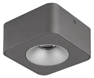 Globo 43100-1 - LED Stropní svítidlo HANGARAU LED/6,5W/230V 11,7x11,7 cm
