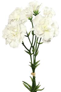 UMĚLÁ KVĚTINA karafiát 30 cm - Umělé květiny
