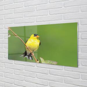 Obraz na skle žlutý papoušek 100x50 cm