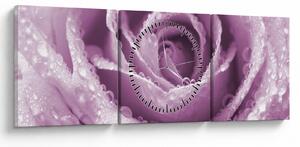 Obraz detailu květu růže (s hodinami) (90x30 cm)