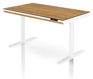 Elektrický psací stůl sit-stand se zásuvkou a bezdrátovou nabíječkou Qi bílý/zlatý dub, 1200 mm: ELLIS