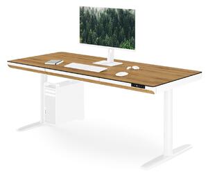 Elektrický psací stůl sit-stand se zásuvkou a bezdrátovou nabíječkou Qi bílý/zlatý dub, 1600 mm: ELLIS