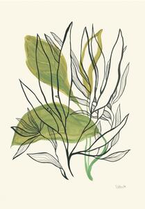 Ilustrace Foliage N.1, Catalina Somolinos, (26.7 x 40 cm)