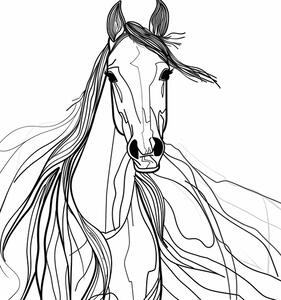 Ilustrace Line Horse, Justyna Jaszke