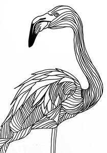 Ilustrace Lines art Flamingo, Justyna Jaszke