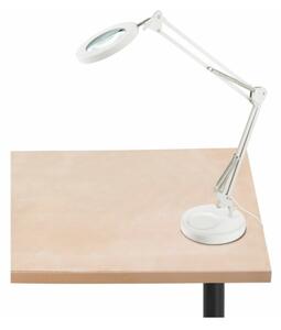 Extol - LED Stmívatelná stolní lampa s lupou LED/8W/5V 2900/4500/7500K bílá