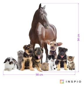INSPIO-textilní přelepitelná samolepka - Samolepka na zeď - Miluji zvířátka