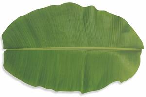 VILLA D’ESTE HOME Designové prostírání banánový list Banano, zelená, PVC set 6 kusů