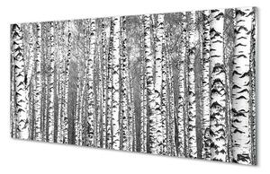 Obraz na skle Černá a bílá strom 100x50cm