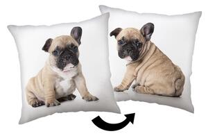 Dětský polštářek 40x40 cm Bulldog – Jerry Fabrics