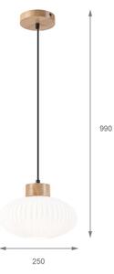 Lustr na lanku HARMONY 1xE27/15W/230V pr. 25 cm bílá/dub