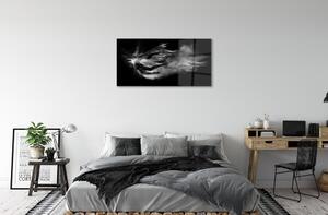 Obraz na skle Žena baletní kouřové šedé pozadí 100x50 cm
