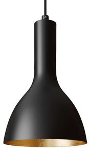 Arcchio - Cosmina 1 Závěsné Světlo Black/Gold
