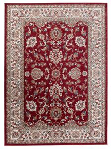 Makro Abra Kusový koberec klasický DUBAI L748A červený Rozměr: 250x350 cm
