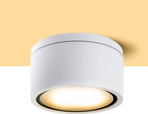 Venkovní stropní svítidlo MERIDO, bílé, patice GX53, 11 W, IP54
