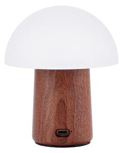 Bílá/v tmavě přírodní barvě LED stolní lampa (výška 12,5 cm) Alice Mushroom – Gingko