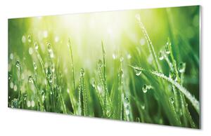 Obraz na skle Tráva slunce kapky 100x50 cm