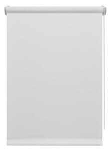 Bílá roleta 42,5x150 cm Mini Relax – Gardinia