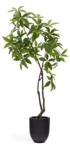 Umělá rostlina (výška 180 cm) Pachira – Kave Home