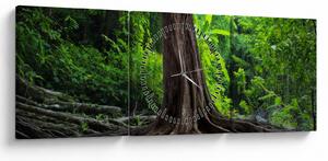 Obraz - Starý strom s kořeny (s hodinami) (90x30 cm)