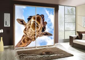 Šatní skříň Penelopa 2 Žirafa Barva korpusu: Bílá, Rozměry: 205 cm
