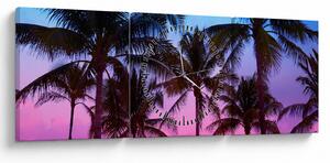 Obraz - Palmy v Miami (s hodinami) (90x30 cm)