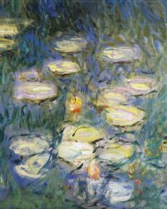 Monet, Claude - Obrazová reprodukce Water Lilies, (30 x 40 cm)