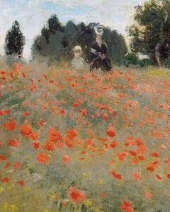 Obrazová reprodukce Poppies, Monet, Claude