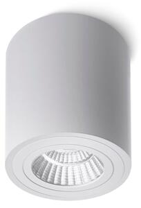 Výklopné stropní LED svítidlo MAYO R, bílé, 9 W, teplá bílá 2700 K