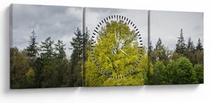 Obraz zeleného stromu uprostřed pole (s hodinami) (90x30 cm)
