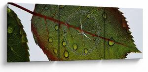 Obraz - List růže (s hodinami) (90x30 cm)