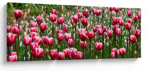 Obraz tulipánů (s hodinami) (90x30 cm)