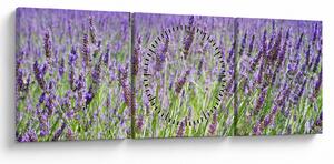 Obraz pole s levandulemi (s hodinami) (90x30 cm)