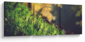 Obraz mechu s houbou (s hodinami) (90x30 cm)