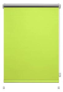 Světle zelená roleta 42,5x150 cm Mini Termo – Gardinia