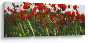Obraz vlčích máků ve větru (s hodinami) (90x30 cm)