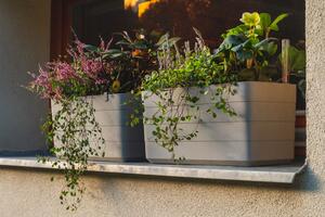 Samozavlažovací truhlík PLASTIA BERBERIS 80 cm taupe + slonová kost