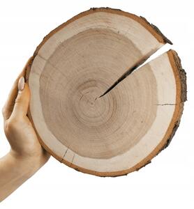Dřevěný kroužek - plátek, oboustranně broušený, s kůrou, průměr 15-20 cm -