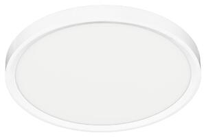 Stropní LED svítidlo Maq, 1x LED 24w, 3000-6500k, w