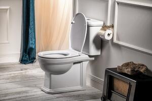 GSI CLASSIC WC sedátko, Soft Close, bílá/chrom
