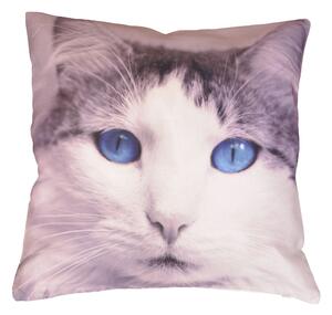 Dekorační polštářek Kočka modrooká 45 x 45 cm