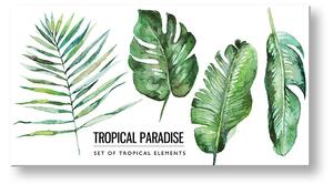 Obraz na zeď s textem Tropical paradise (moderní obrazy s textem)