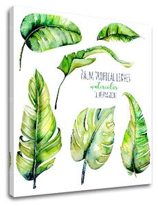 Obraz na zeď s textem Palm tropical leaves (moderní obrazy s textem)