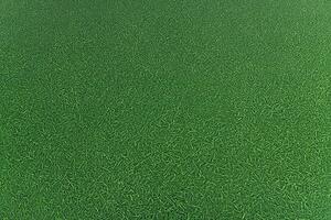 PVC podlaha Artifact Grass 025 imitace trávy