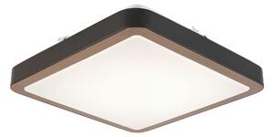 STROPNÍ LED SVÍTIDLO, 37/37/8 cm Novel
