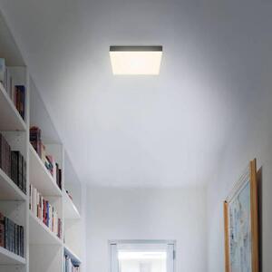 STROPNÍ LED SVÍTIDLO, 21,2/21,2/3,6 cm - Stropní svítidla