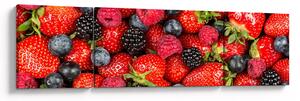Obraz - Ovocná nálož (170x50 cm)