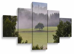 Obraz louky se stromem (125x70 cm)